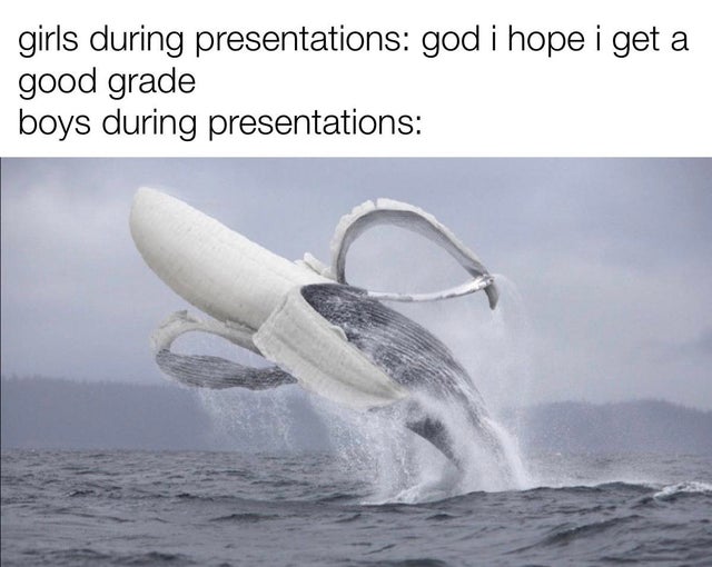 water transportation - girls during presentations god i hope i get a good grade boys during presentations