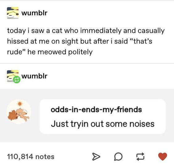 document - wumblr today i saw a cat who immediately and casually hissed at me on sight but after i said that's rude he meowed politely wumblr oddsinendsmyfriends Just tryin out some noises 110,814 notes > D