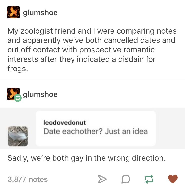 posts frogs - glumshoe My zoologist friend and I were comparing notes and apparently we've both cancelled dates and cut off contact with prospective romantic interests after they indicated a disdain for frogs. glumshoe leodovedonut Date eachother? Just an