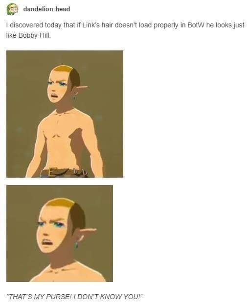 link looks like bobby hill - fo dandelionhead I discovered today that if Link's hair doesn't load properly in Botw he looks just Bobby Hill That'S My Purse! I Don'T Know You