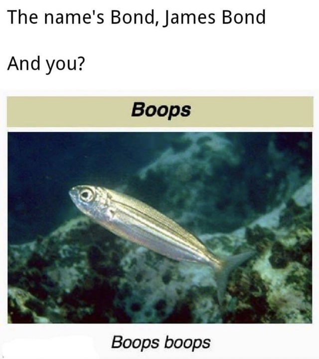 boops boops - The name's Bond, James Bond And you? Boops Boops boops