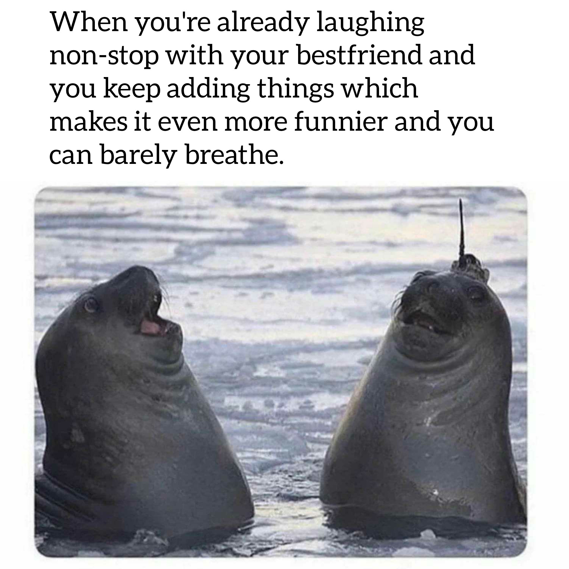 friend that makes you laugh - When you're already laughing nonstop with your bestfriend and you keep adding things which makes it even more funnier and you can barely breathe.