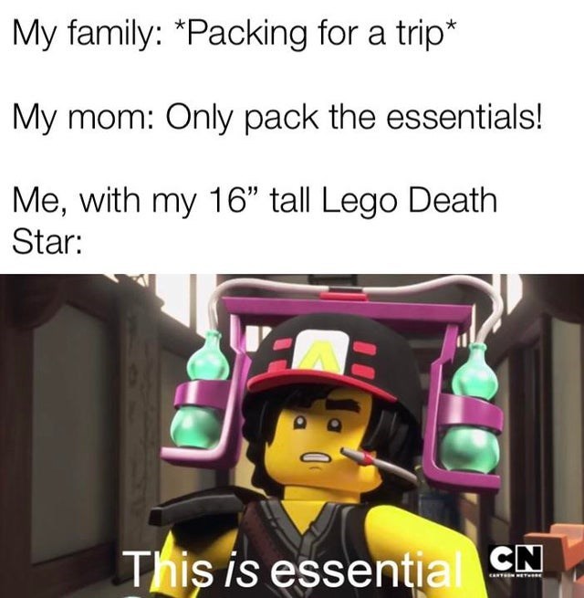 cartoon - My family Packing for a trip My mom Only pack the essentials! Me, with my 16" tall Lego Death Star This is essentia Cn