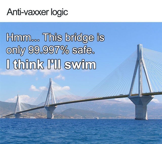 anti vax logic meme - Antivaxxer logic Hmm... This bridge is only 99.997% safe. I think I'll swim