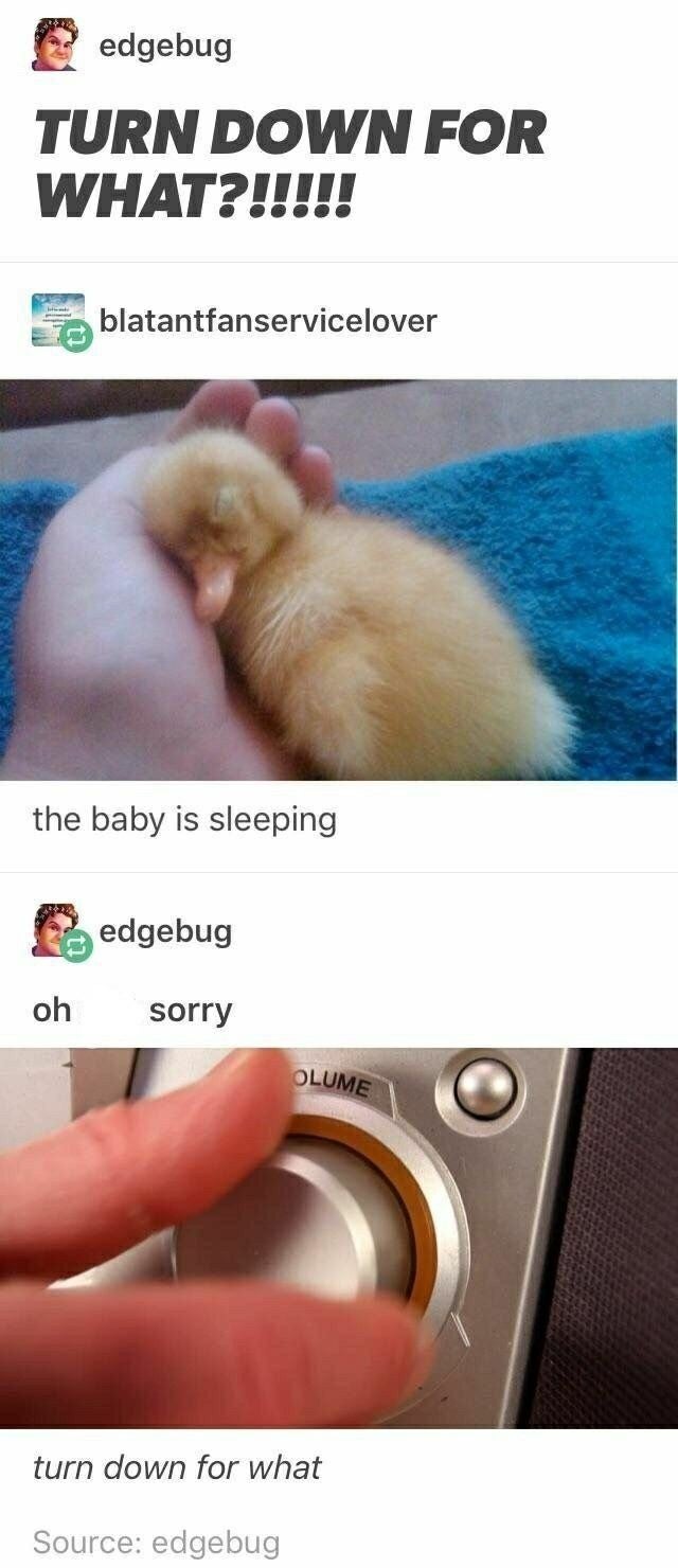 duck memes - edgebug Turn Down For What?!!!!! blatantfanservicelover the baby is sleeping Bedgebug oh sorry Olume turn down for what Source edgebug