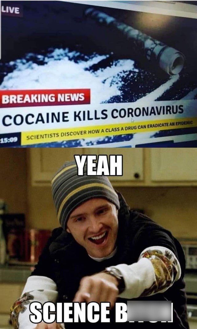 science bitch - Live Breaking News Cocaine Kills Coronavirus 1509 Scientists Discover How A Class A Drug Can Eradicate An Epidemic Yeah Science B.