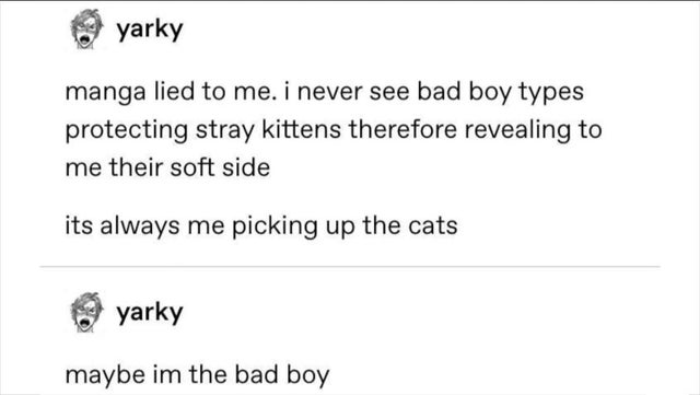 document - yarky manga lied to me. i never see bad boy types protecting stray kittens therefore revealing to me their soft side its always me picking up the cats yarky maybe im the bad boy