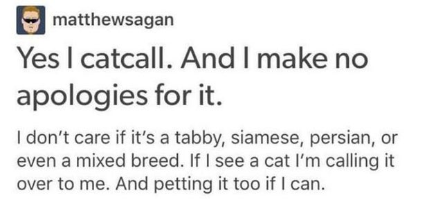 matthewsagan Yes I catcall. And I make no apologies for it. I don't care if it's a tabby, siamese, persian, or even a mixed breed. If I see a cat I'm calling it over to me. And petting it too if I can.