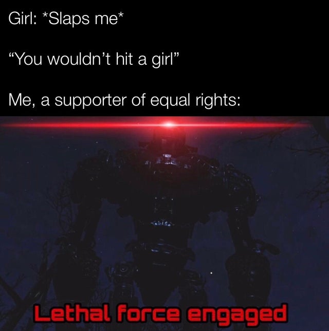 darkness - Girl Slaps me "You wouldn't hit a girl" Me, a supporter of equal rights Lethal force engaged