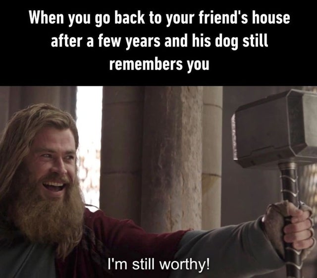 thor still worthy - When you go back to your friend's house after a few years and his dog still remembers you I'm still worthy!