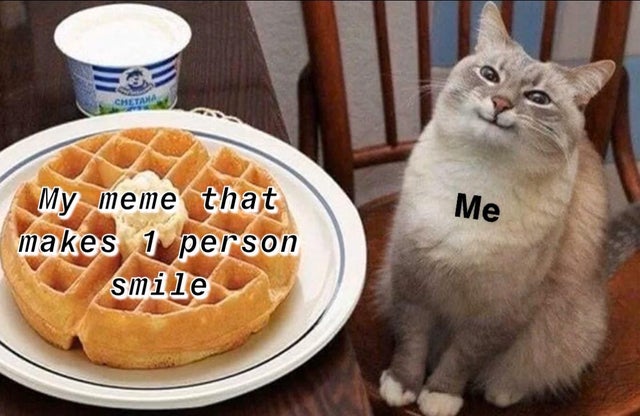 cat looking at waffle - Me My meme that makes 1 person smile