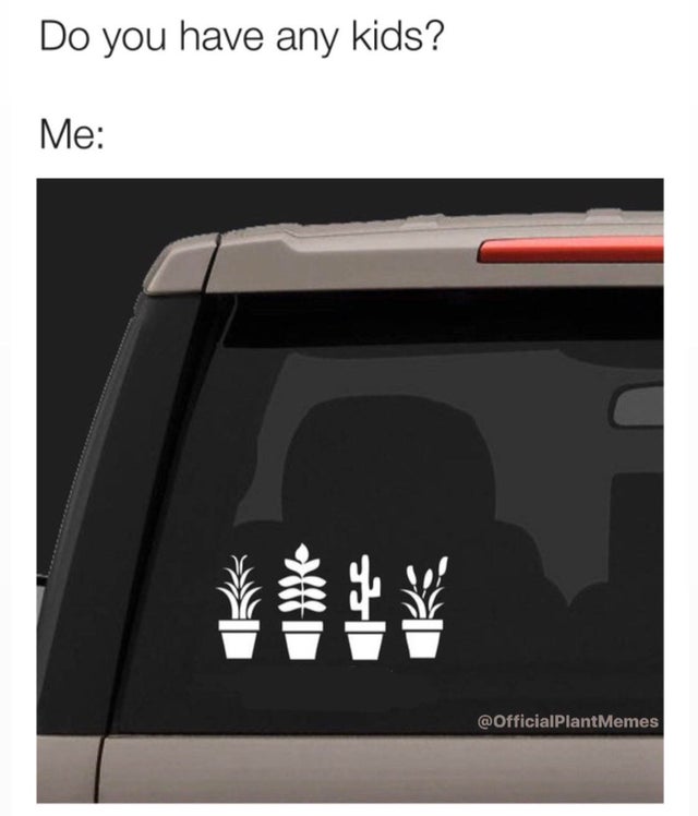 plant car decal - Do you have any kids? Me Memes