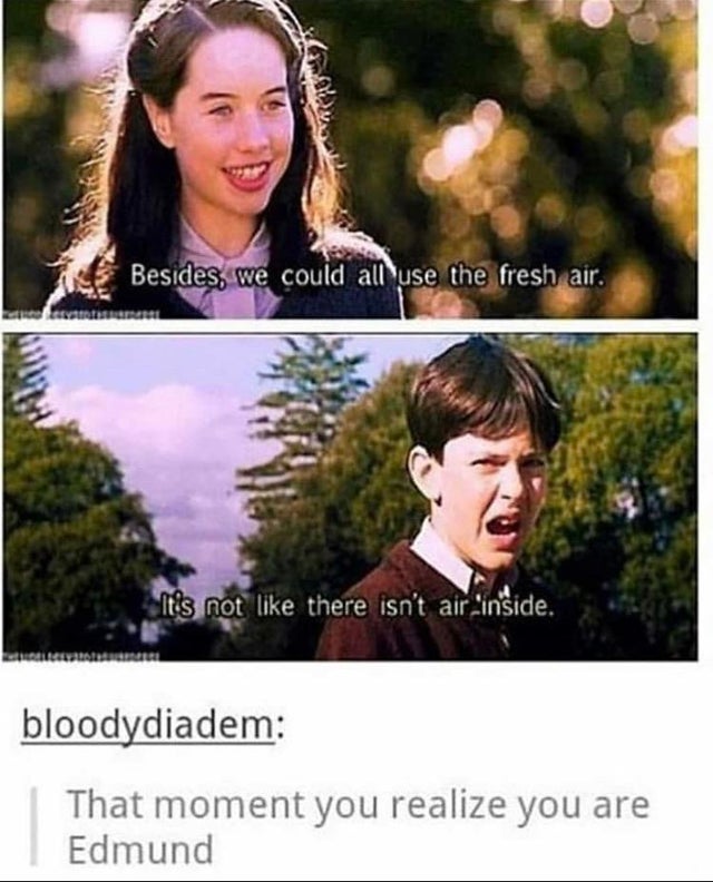 narnia funny - Besides, we could all use the fresh air. Nis not there isn't air Sinside. bloodydiadem That moment you realize you are Edmund