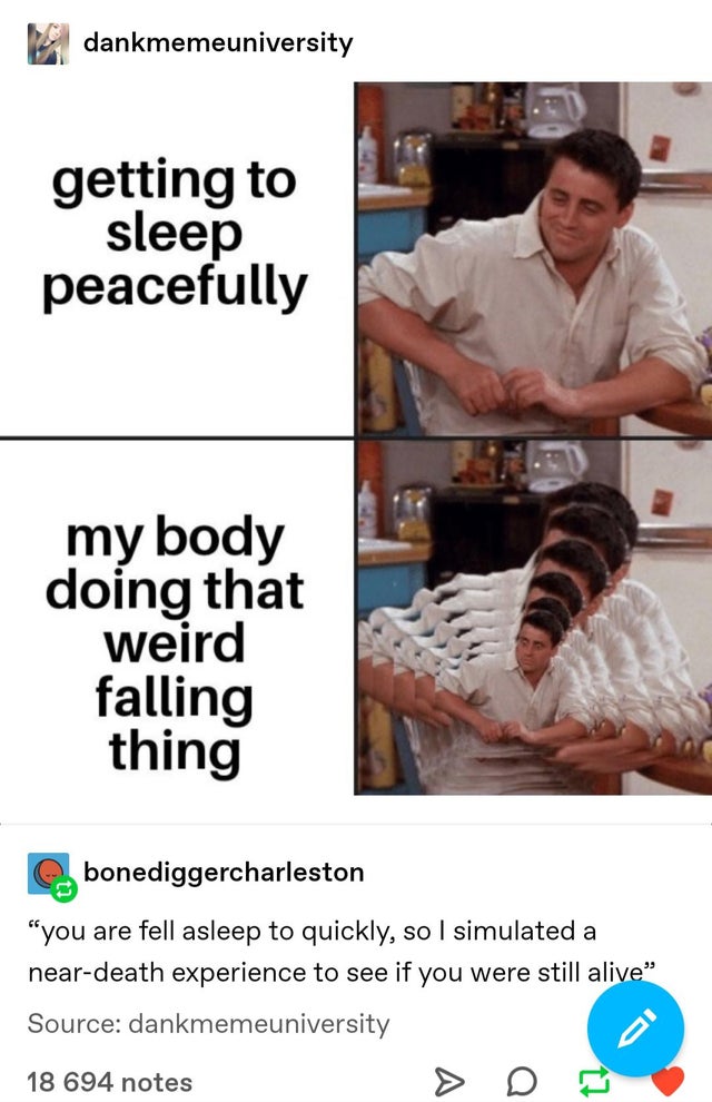 media - dankmemeuniversity getting to sleep peacefully my body doing that weird falling thing e bonediggercharleston "you are fell asleep to quickly, so I simulated a neardeath experience to see if you were still alive" Source dankmemeuniversity 18 694 no
