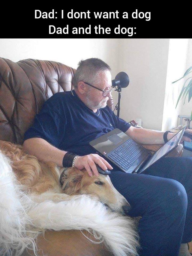 Humour - Dad I dont want a dog Dad and the dog