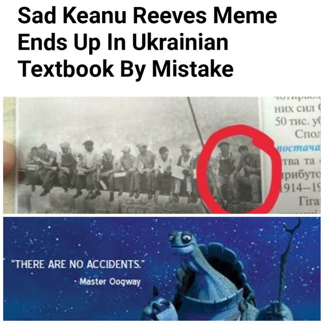 Sad Keanu Reeves Meme Ends Up In Ukrainian Textbook By Mistake 50 . 191419 Tira There Are No Accidents." Master Oogway