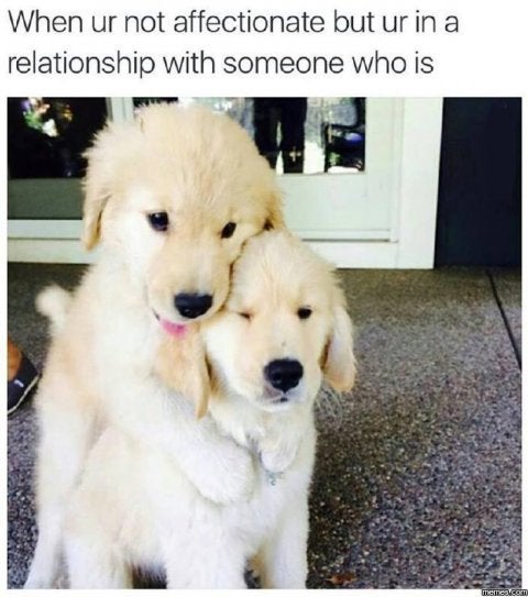 dogs in a relationship - When ur not affectionate but ur in a relationship with someone who is