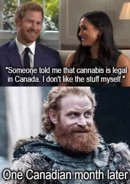 kristofer hivju game of thrones - Someone told me that cannabis is legal in Canada. I don't the stuff myself. One Canadian month later
