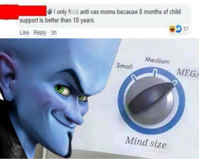 load size large memes - Tonly f anti vax moms because 8 months of child support is better than 18 years. 3h Medium Small Mega Mind size