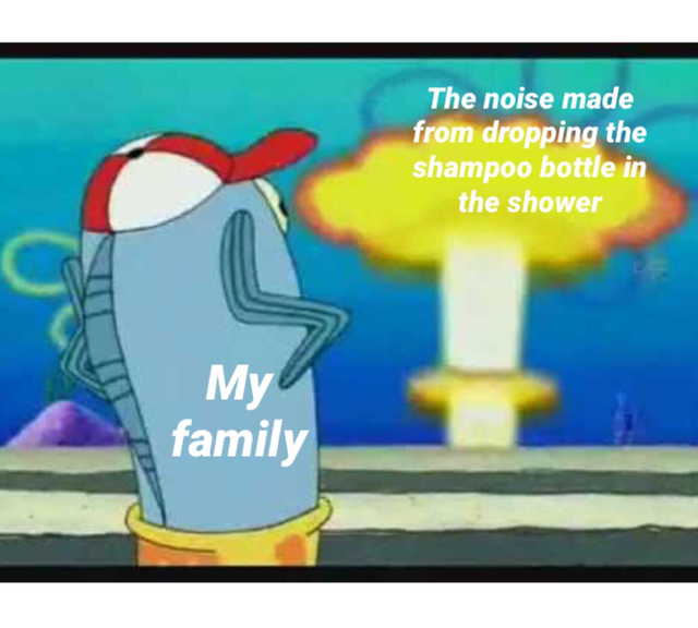 spongebob memes - The noise made from dropping the shampoo bottle in the shower family