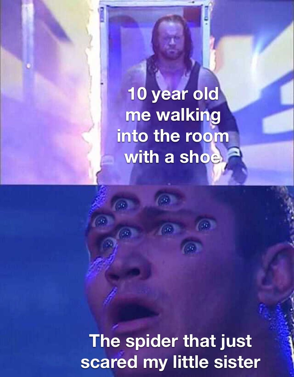 undertaker randy orton meme template - 10 year old me walking into the room with a shoe The spider that just scared my little sister