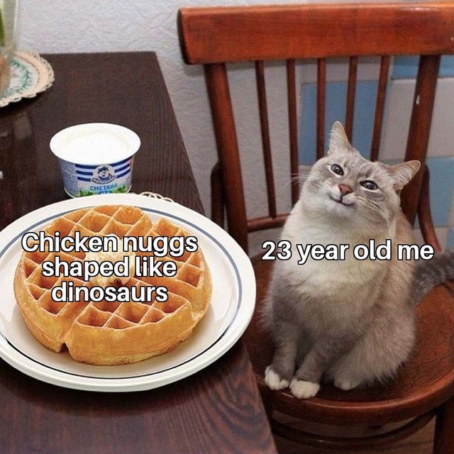 cat waffle meme template - 23 year old me Chicken nuggs shaped dinosaurs