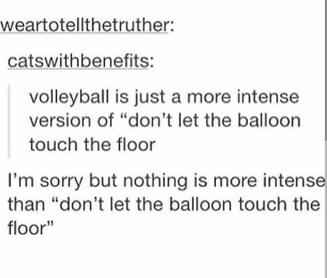 document - weartotellthetruther catswithbenefits volleyball is just a more intense version of "don't let the balloon touch the floor I'm sorry but nothing is more intense than "don't let the balloon touch the floor"