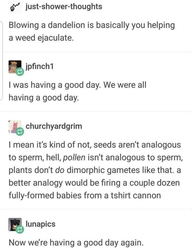 blowing a dandelion meme - Oh justshowerthoughts Blowing a dandelion is basically you helping a weed ejaculate. 22 jpfinch1 I was having a good day. We were all having a good day. churchyardgrim I mean it's kind of not, seeds aren't analogous to sperm, he