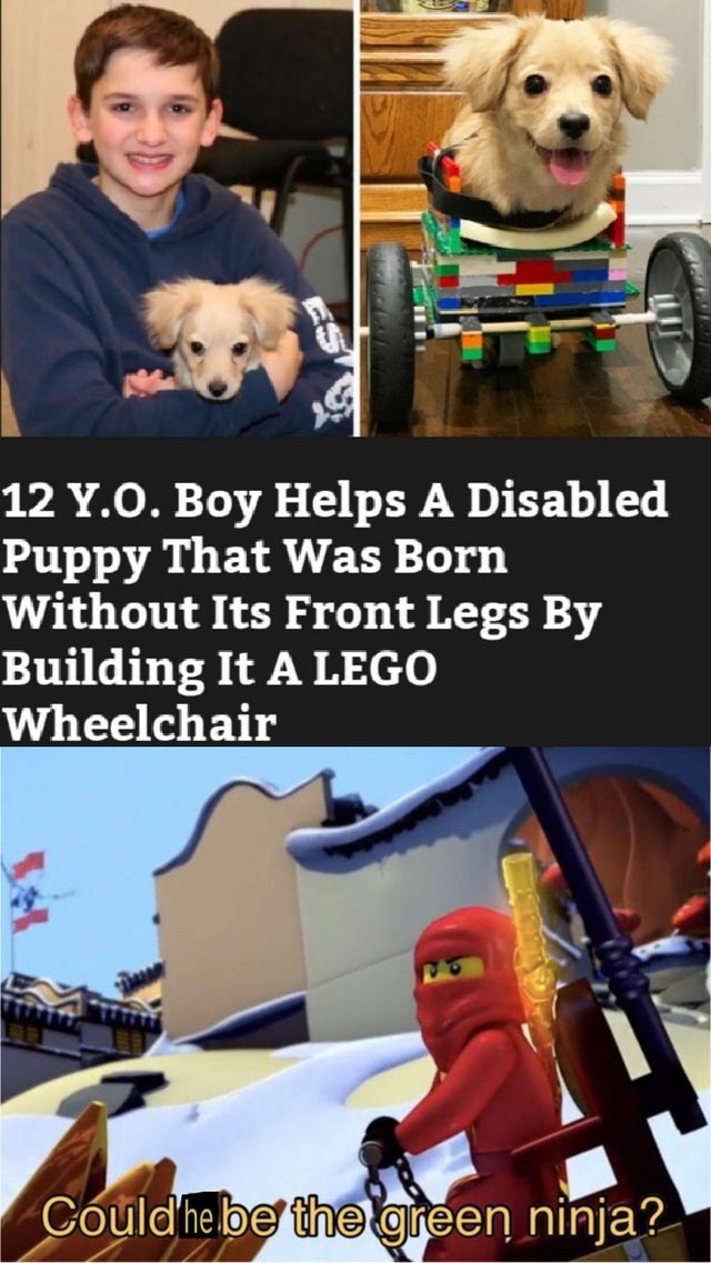 could i be the green ninja memes - 12 Y.O. Boy Helps A Disabled Puppy That Was Born Without Its Front Legs By Building It A Lego Wheelchair Could he be the green ninja?