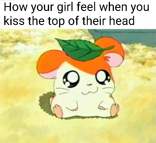 hamtaro's new home - How your girl feel when you kiss the top of their head