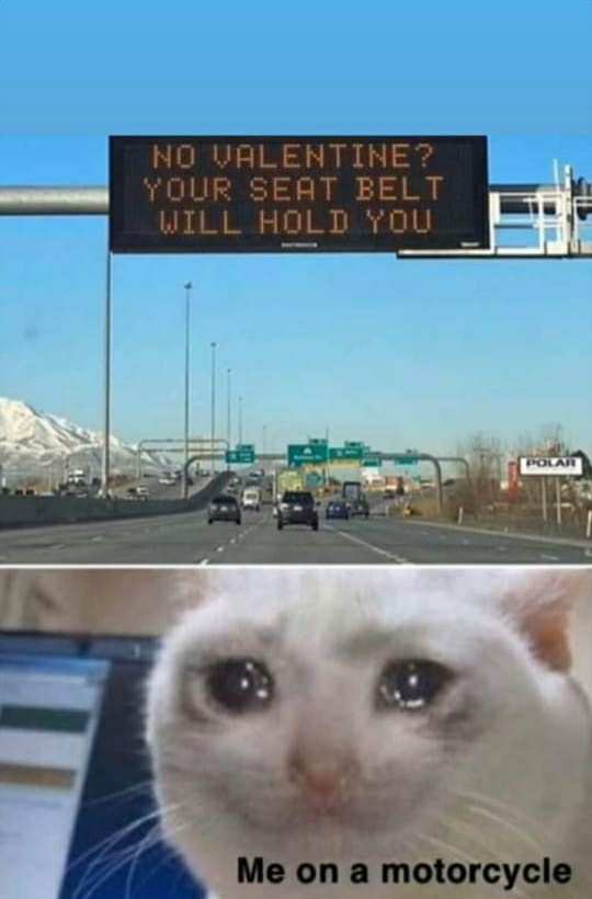 nibbi and kashif memes - No Valentine? Your Seat Belt Will Hold You Me on a motorcycle