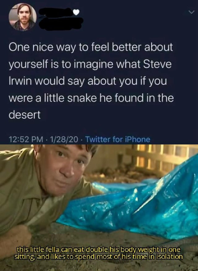 water - One nice way to feel better about yourself is to imagine what Steve Irwin would say about you if you were a little snake he found in the desert 12820 Twitter for iPhone this little fella can eat double his body weight in one sitting, and to spend 