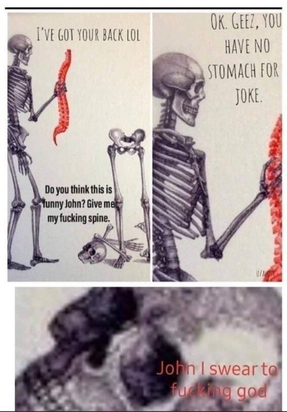 ve got your back skeleton meme - I'Ve Got Your Back Lol Ok. Geez, You Have No Stomach For Joke. Do you think this is Tunny John? Give me my fucking spine. John I swear to fucking god