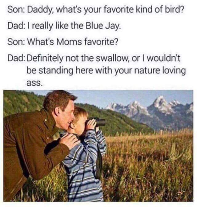 dad favorite kind of bird - Son Daddy, what's your favorite kind of bird? Dad I really the Blue Jay. Son What's Moms favorite? Dad Definitely not the swallow, or I wouldn't be standing here with your nature loving ass.
