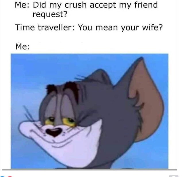 Internet meme - Me Did my crush accept my friend request? Time traveller You mean your wife? Me