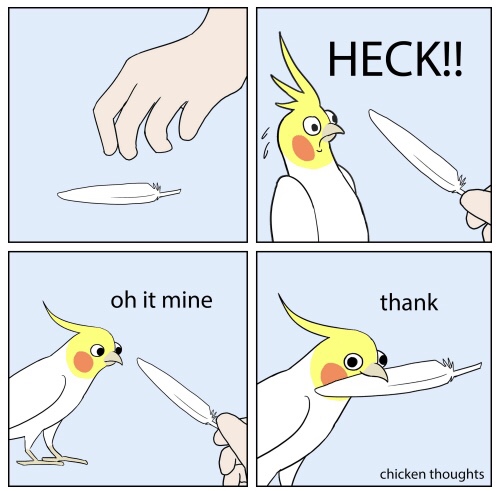 chicken bird memes cockatiel - Heck!! oh it mine thank chicken thoughts