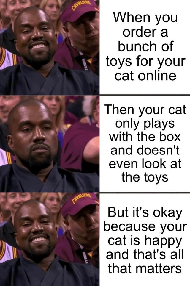 Internet meme - When you order a bunch of toys for your cat online Then your cat only plays with the box and doesn't even look at the toys Sever isses But it's okay because your cat is happy and that's all that matters