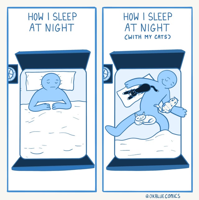 cartoon - How I Sleep At Night How I Sleep At Night Cwith My Cats D Blue Comics