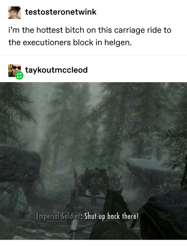 biome - testosteronetwink i'm the hottest bitch on this carriage ride to the executioners block in helgen. taykoutmccleod Imperial Soldier Shut up back there!