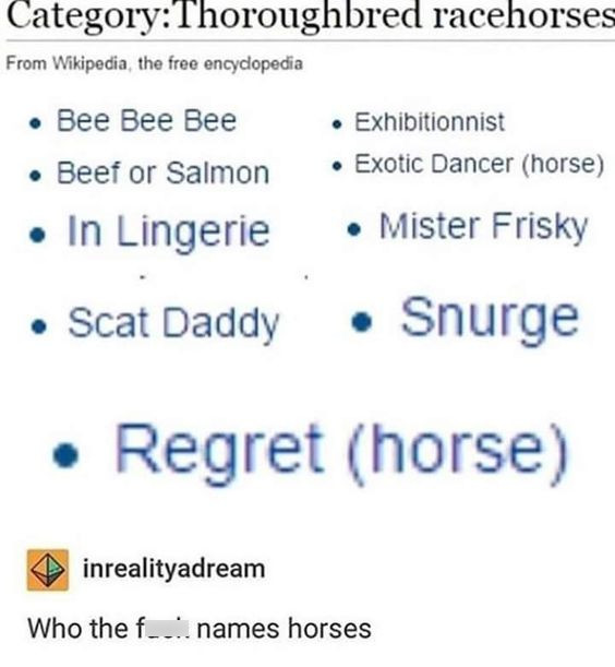 Horse - CategoryThoroughbred racehorses From Wikipedia, the free encyclopedia . Exhibitionnist . Bee Bee Bee Beef or Salmon In Lingerie Exotic Dancer horse Mister Frisky Scat Daddy Snurge Regret horse inrealityadream Who the f... names horses
