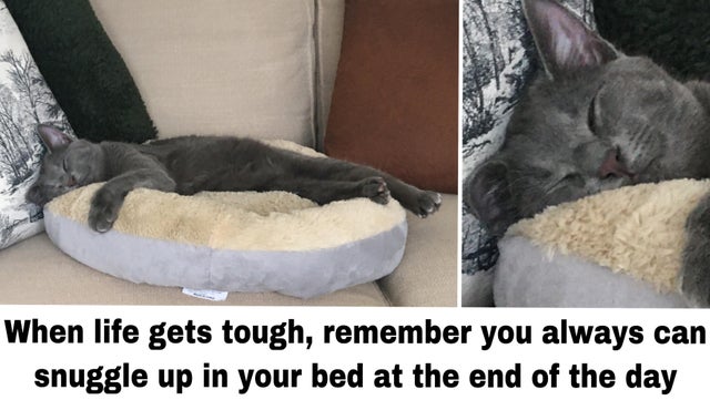photo caption - When life gets tough, remember you always can snuggle up in your bed at the end of the day
