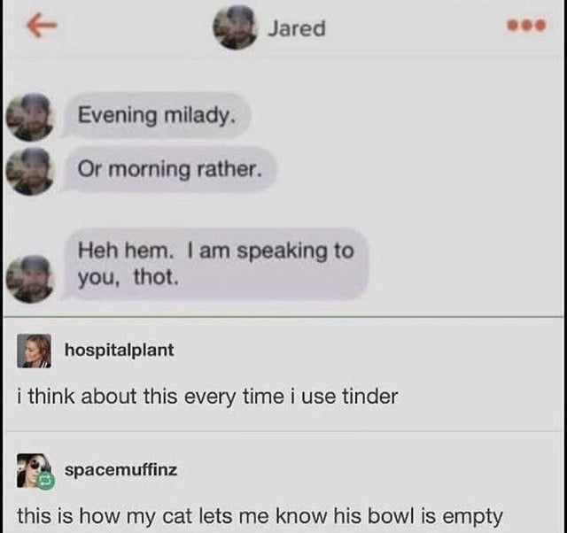 software - Jared Evening milady. Or morning rather. Heh hem. I am speaking to you, thot. hospitalplant i think about this every time i use tinder spacemuffinz this is how my cat lets me know his bowl is empty