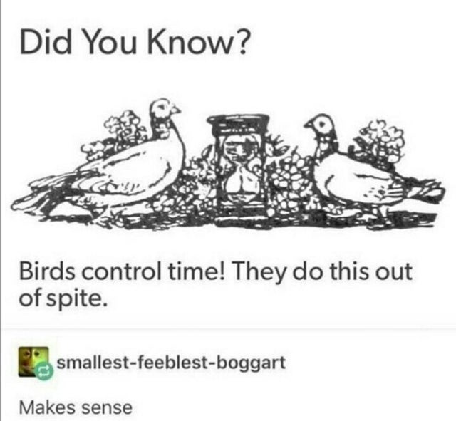 birds control time they do this out - Did You Know? Birds control time! They do this out of spite. smallestfeeblestboggart Makes sense