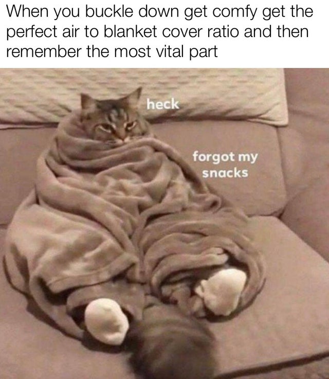 heck forgot my snacks - When you buckle down get comfy get the perfect air to blanket cover ratio and then remember the most vital part heck forgot my snacks