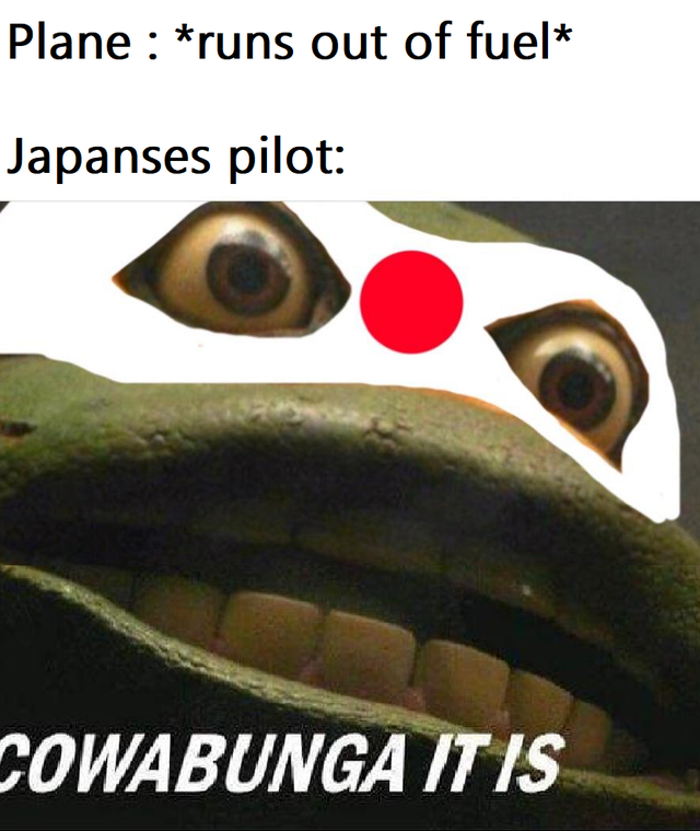 eye - Plane runs out of fuel Japanses pilot Cowabunga It Is