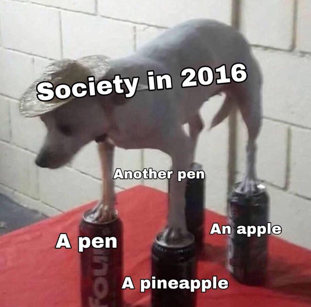 my mental health dog meme - Society in 2016 Another pen An apple A pen A pineapple