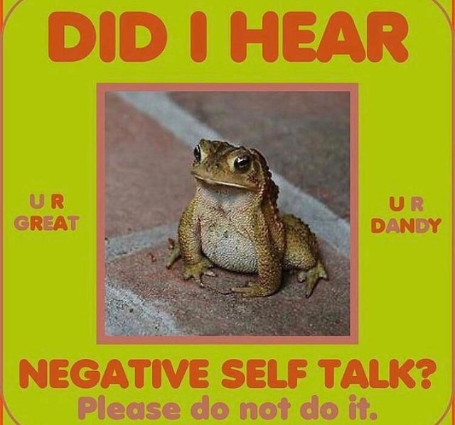 toad - Did I Hear Ur Great Ur Dandy Negative Self Talk? Please do not do it.