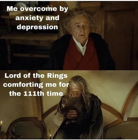 photo caption - Me overcome by anxiety and depression Lord of the Rings comforting me for the 111th time