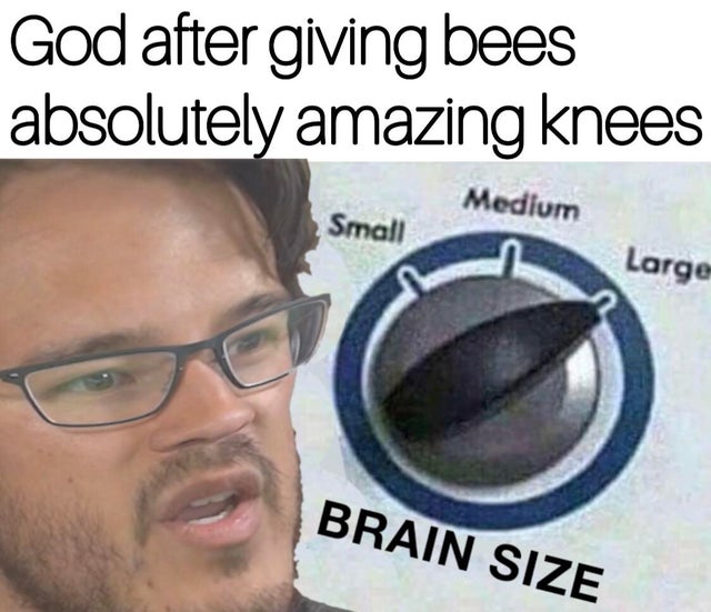 oof size large mem3 - God after giving bees absolutely amazing knees Small Medium Large Brain Size