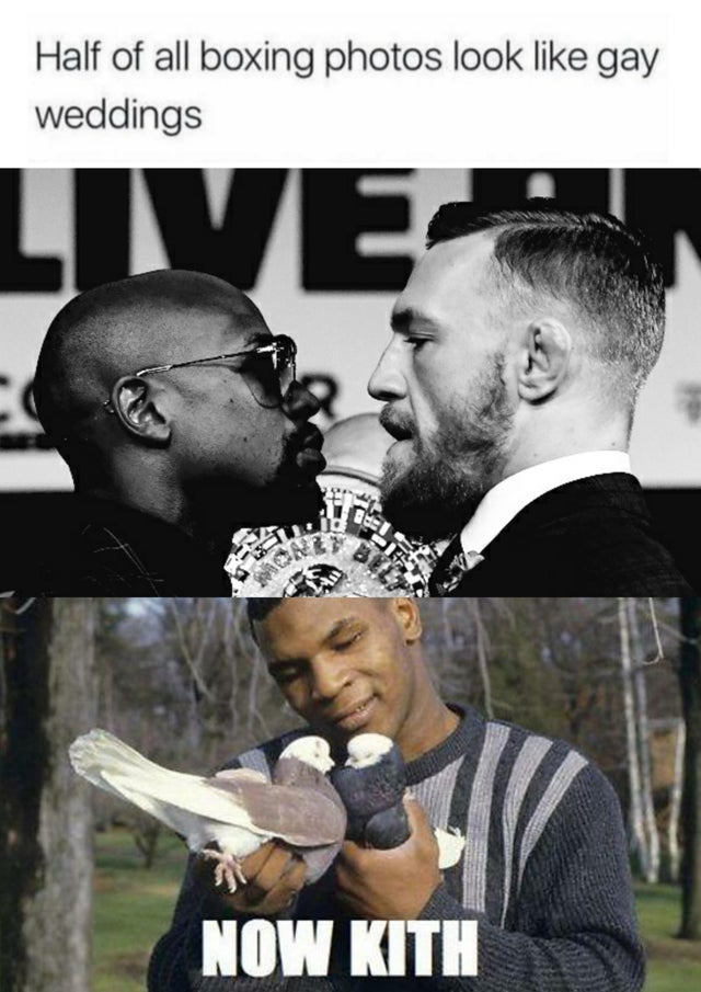 now kith - Half of all boxing photos look gay weddings Livee Now Kith